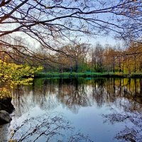 Заходящее солнце. :: Лия ☼