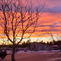 Вечер накануне зимы :: Ольга 