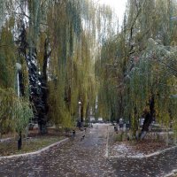 *** :: Валентина Береснева