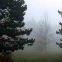 *** :: Игорь Протасов