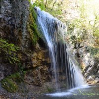 Природа Крыма :: Amazing Cosmea