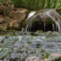 Природа Крыма :: Amazing Cosmea