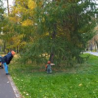 Вон посмотри :: юрий поляков