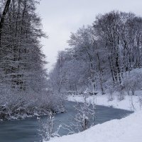 Снежный ноябрь :: Рита Симонова