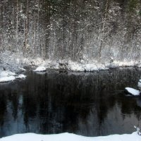 *** :: Галина Полина