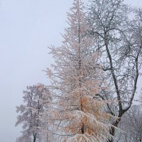 *** :: Сергей Григорьев