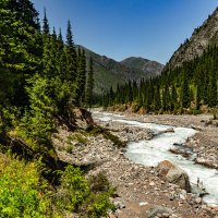 Б.А.К. :: HART BAD