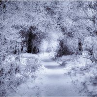 Лабиринт :: Людмила Фил