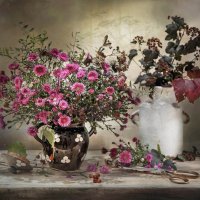 Октябринки - цветы поздней осени. :: Bosanat 