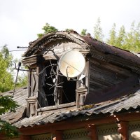 Борьба за жизнь :: Дмитрий Swan