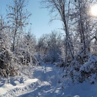 Чудесный день!!! :: Радмир Арсеньев