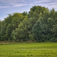 (°-°) :: Jakob Dick