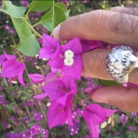 114 (188) :: CLOSE WAYS ALL