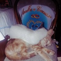 ** :: Сергей Кочнев