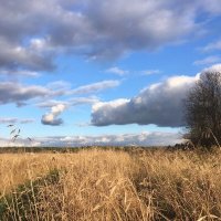 Осень :: Ольга Савельева 