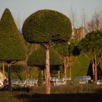 Прогулка. :: Юрий Полторыхин.