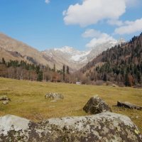 Абхазия :: Tata Wolf