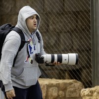 Охота на охотника. :: Alexander Amromin