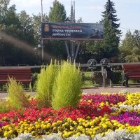 Клумбы и цветники :: Serega SchütZ