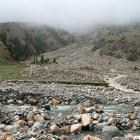 Горный ручей :: Галина Ильясова