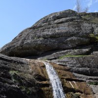 Природа Крыма :: Amazing Cosmea