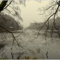 Декабрь :: Aleksandr Gal