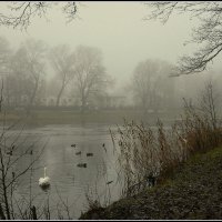 *** :: Aleksandr Gal