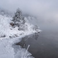 Зимняя ёлочка :: Марина Фомина. Зимняя ёлочка :: Марина Фомина.