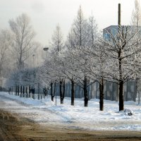 Зима в городе. :: nadyasilyuk Вознюк Зима в городе. :: nadyasilyuk Вознюк