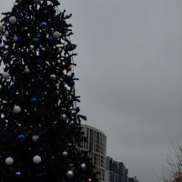 Серый декабрь :: Андрей Серый декабрь :: Андрей