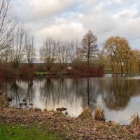 Январское... :: Николай Гирш Январское... :: Николай Гирш