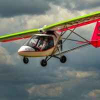 Птенец 2 :: Сергей Воротников