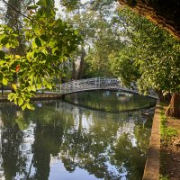 Парк Нового АФона :: Александр Леонов