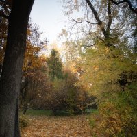 Осень в ботаническом саду. :: Лилия *