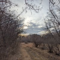 Туманы :: Андрей Хлопонин