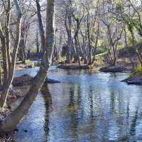 Течёт река.. :: Геннадий Валеев