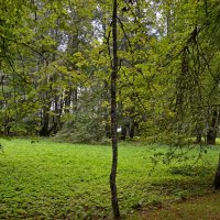 ПЕТРОВСКОЕ, вотчина Ганнибалов. :: Виктор Осипчук