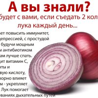 Ешьте лук и будьте здоровы! :: Валерий Иванович Ешьте лук и будьте здоровы! :: Валерий Иванович