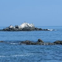 у мыса Евстафия :: ИРЭН@ . у мыса Евстафия :: ИРЭН@ .