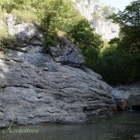 Природа Крыма :: Amazing Cosmea Природа Крыма :: Amazing Cosmea