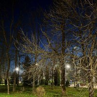 Вечерний пейзаж... :: tatyana Вечерний пейзаж... :: tatyana