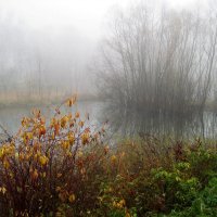 Предзимье. :: Борис Бутцев