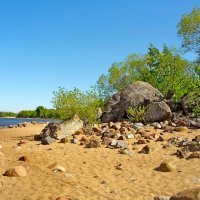 Берег Финского залива. :: Лия ☼ Берег Финского залива. :: Лия ☼