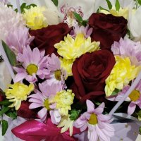 Без повода :: Ирэн 