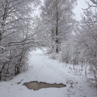 Первый снег. :: Андрей Дурапов