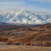 В Курайской долине :: елена беликова