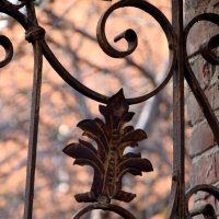 *** :: Павленко Михаил *** :: Павленко Михаил