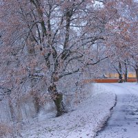 *** :: Сергей Григорьев *** :: Сергей Григорьев