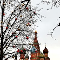 *** :: Любимова Ольга 