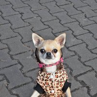 Здравствуйте! Доброго всем воскресенья! :: Валентина  Нефёдова 